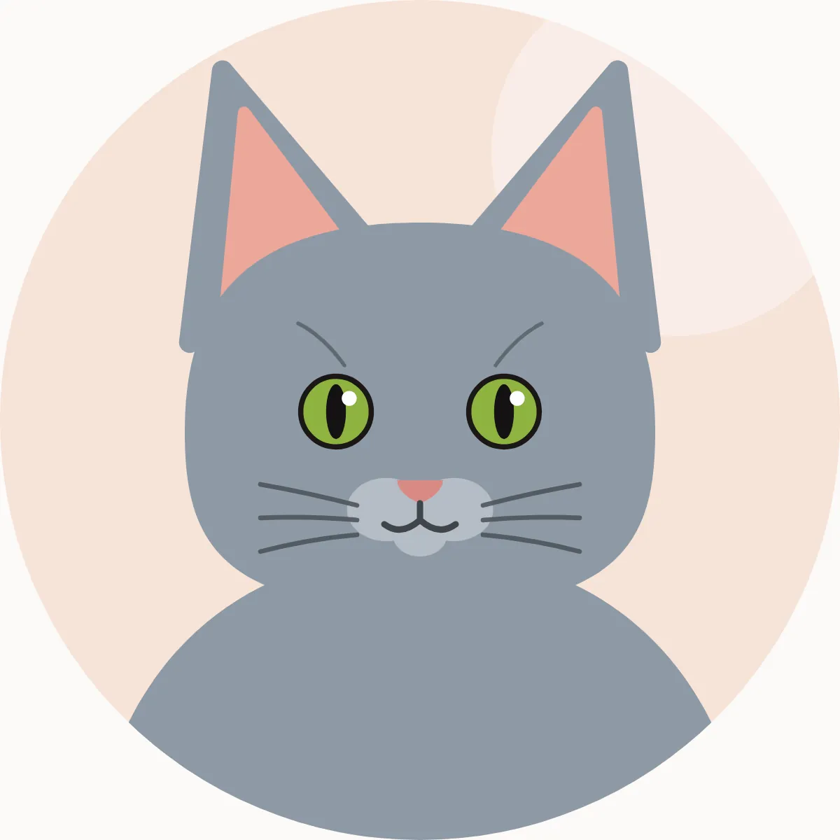 Korat – piirroskuva rodun tyypillisestä ulkonäöstä (hopeanhohtoinen sininen)
