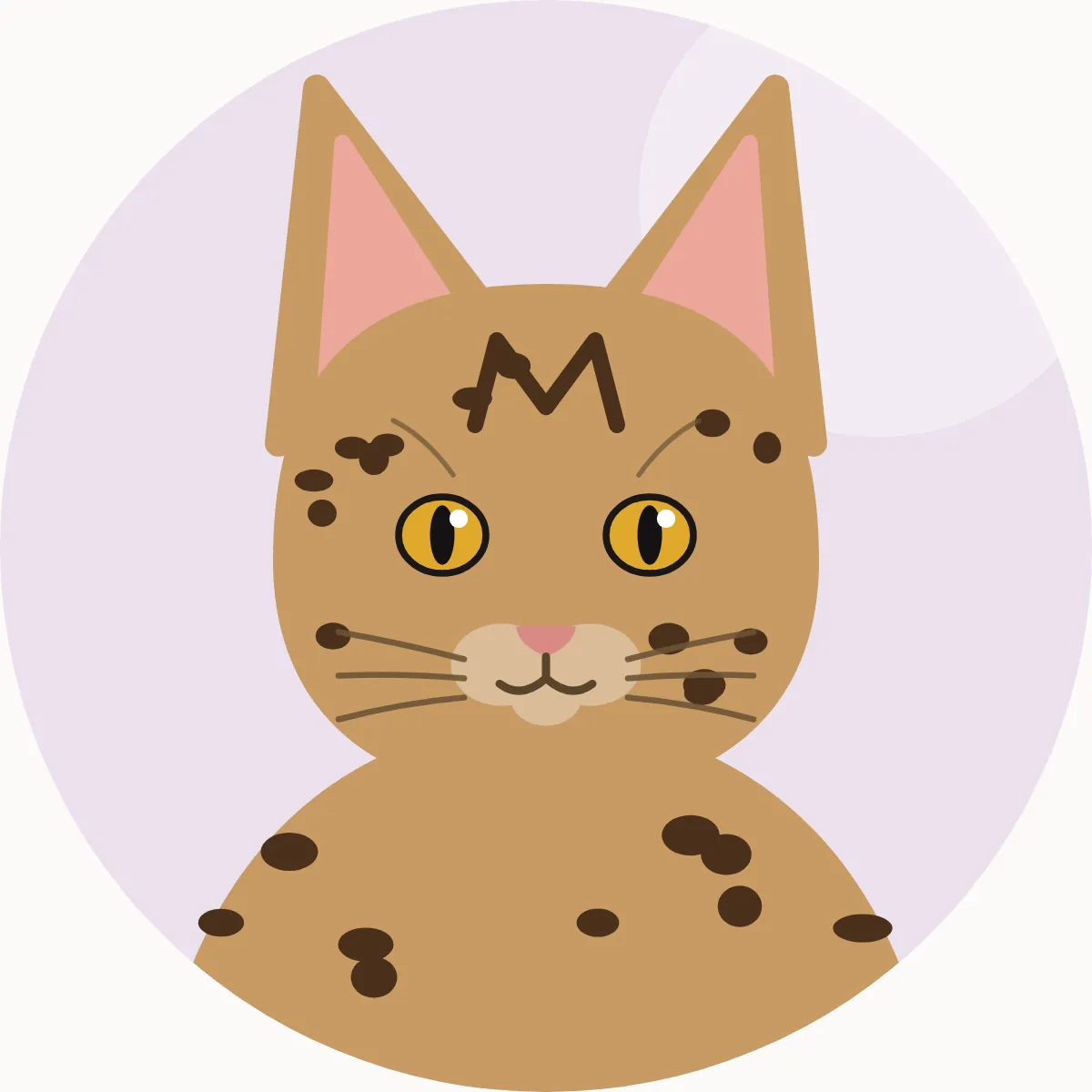 Ocicat – piirroskuva rodun tyypillisestä ulkonäöstä (täplikäs: ruskea, suklaa, kaneli, sininen, lila, kellanruskea ja hopea)