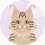 American curl