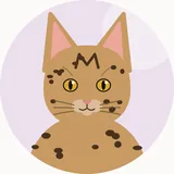 Ocicat