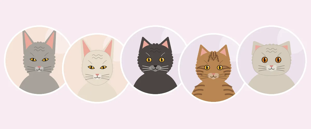 Kiharakarvaiset kissarodut: devon rex, cornish rex, german rex, laperm ja selkirk rex (piirroskuva)