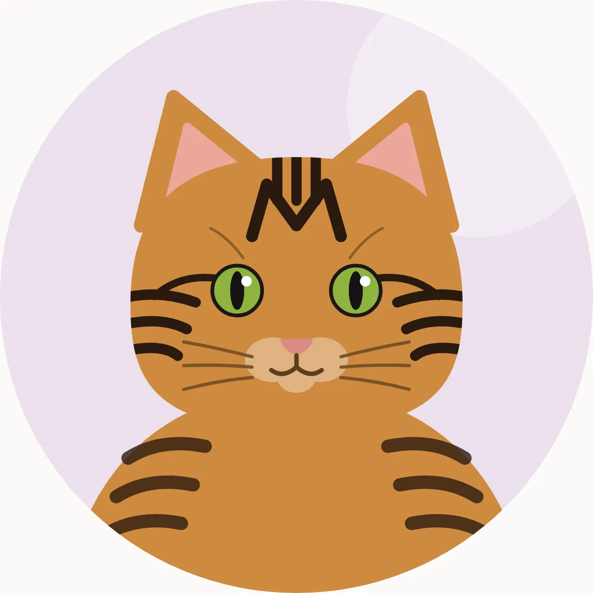 Toyger – piirroskuva rodun tyypillisestä ulkonäöstä (juovikas (mackerel tabby) oranssin ja mustan sävyissä)
